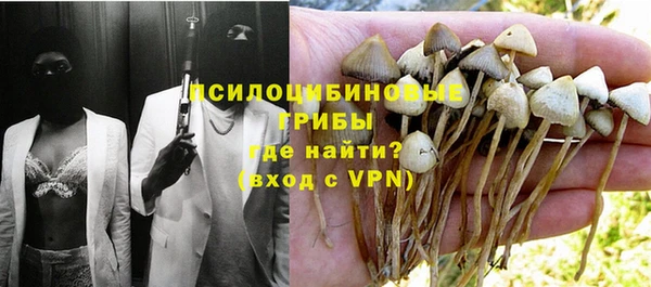 jwh Богородск