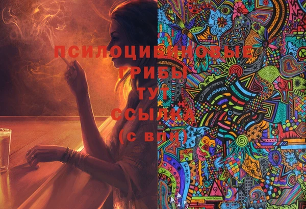 jwh Богородск