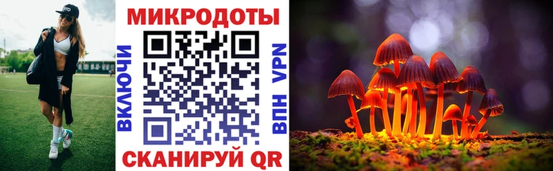 Псилоцибиновые грибы Psilocybe гидра ССЫЛКА Ленинградская